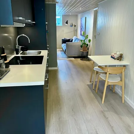 Down Town Apartment With Outside Area In Villa Kristiansand Extérieur photo
