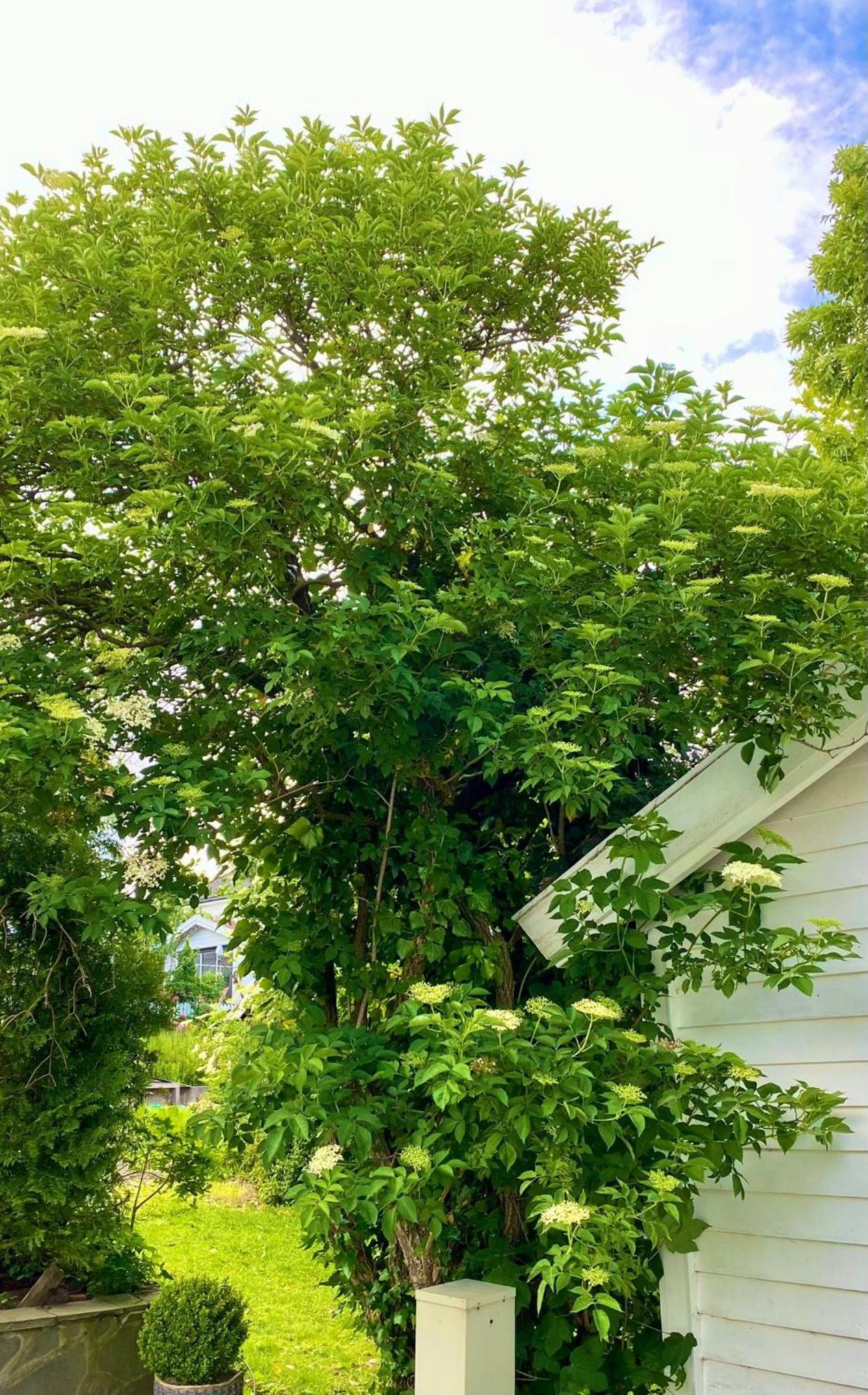 Appartement Down Town With Outside Area In *